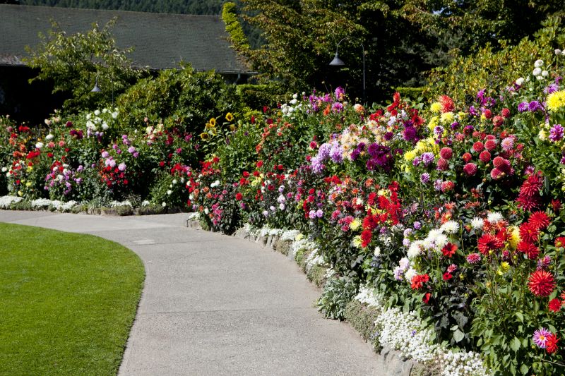 Concrete Path Construction
