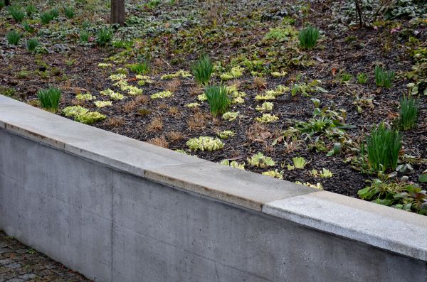 Concrete Wall Construction in Jeffersonville