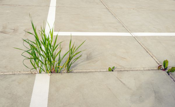 Concrete Parking Installation in Jeffersonville